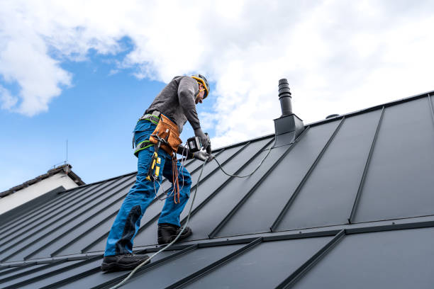Best Roof Maintenance and Cleaning  in Siler City, NC